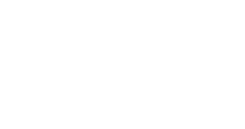 SWA Logo White