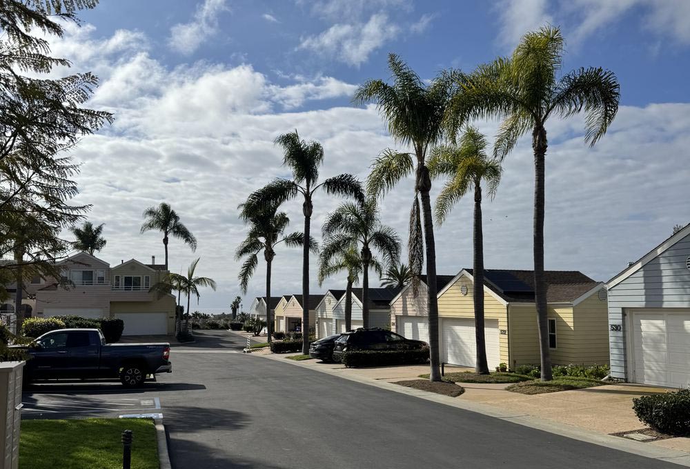 Neighborhood
